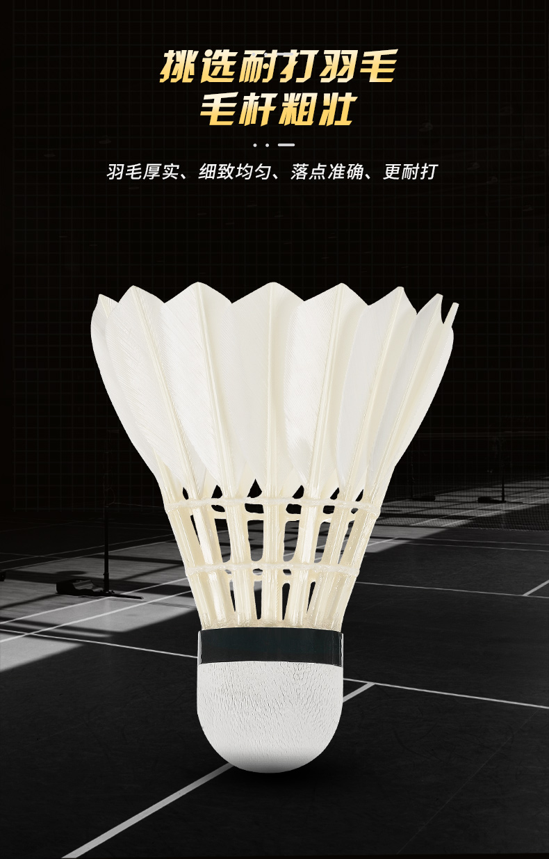 New 12PCS Professional Badmint - Badminton Victory ulasan dan harga