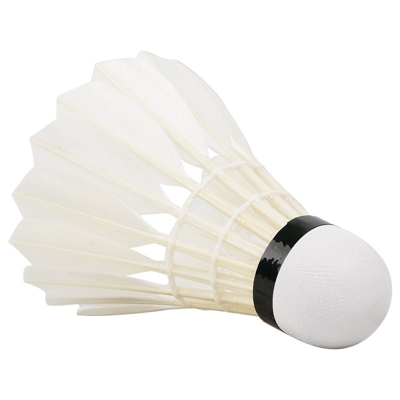 New 12PCS Professional Badmint - Badminton Victory ulasan dan harga