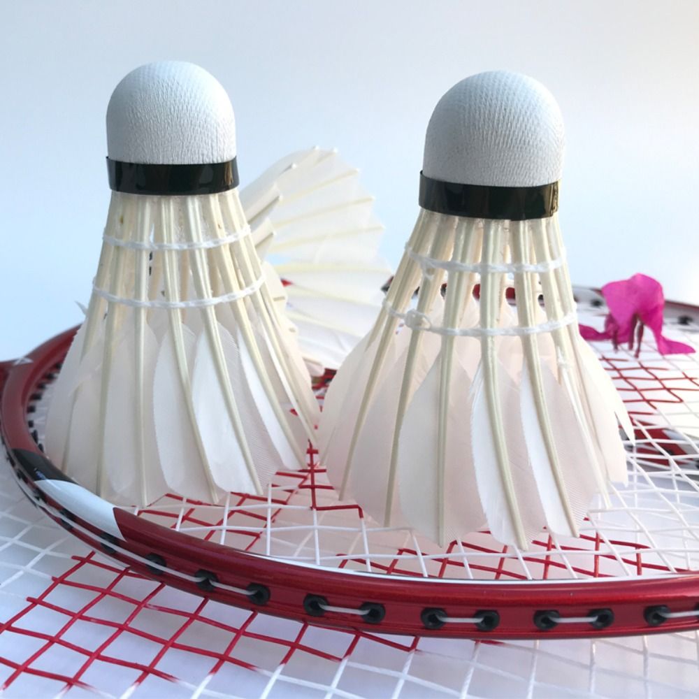3/6/12Pcs New White Badminton  - Badminton Victory ulasan dan harga
